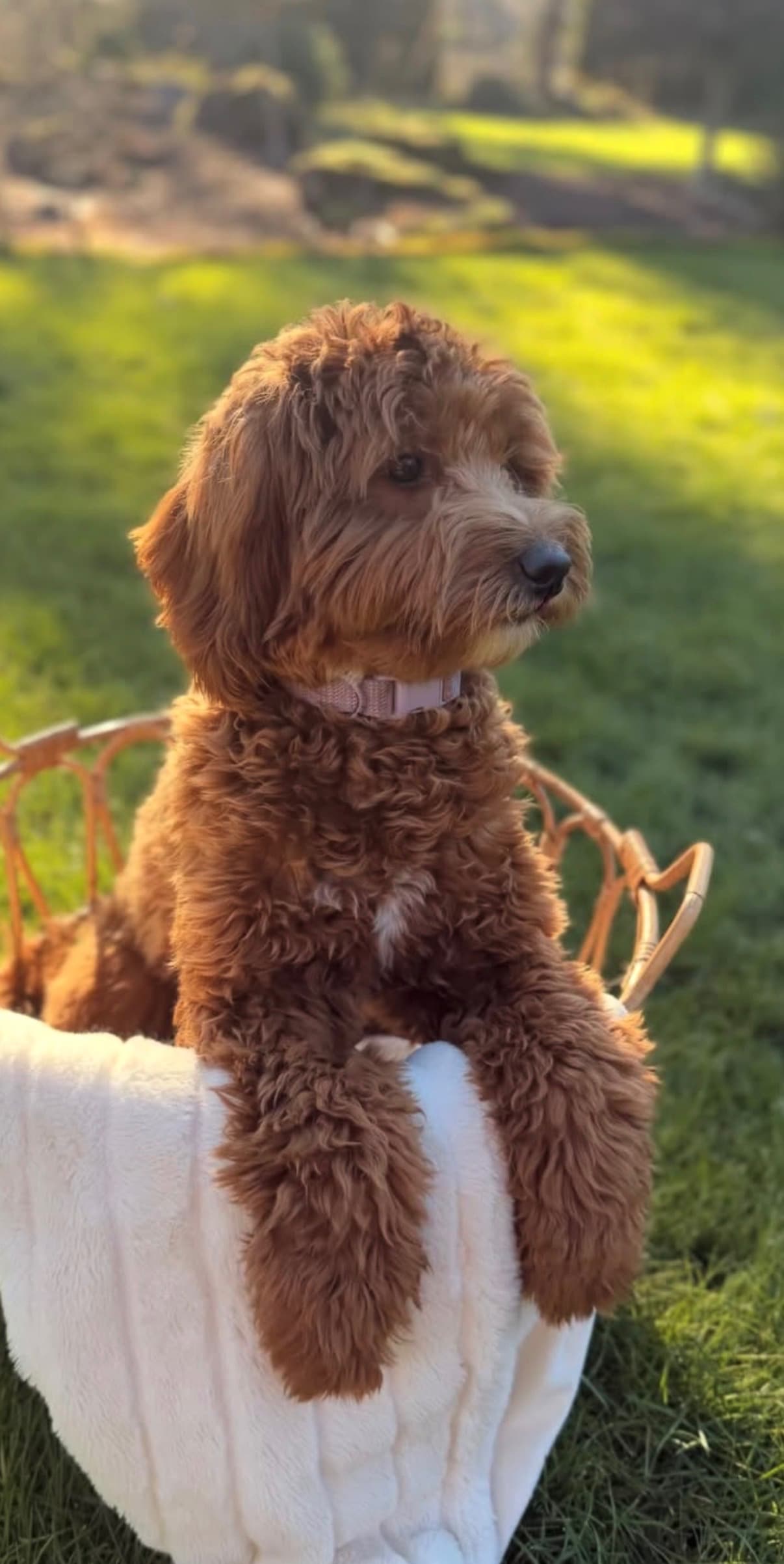 Mable