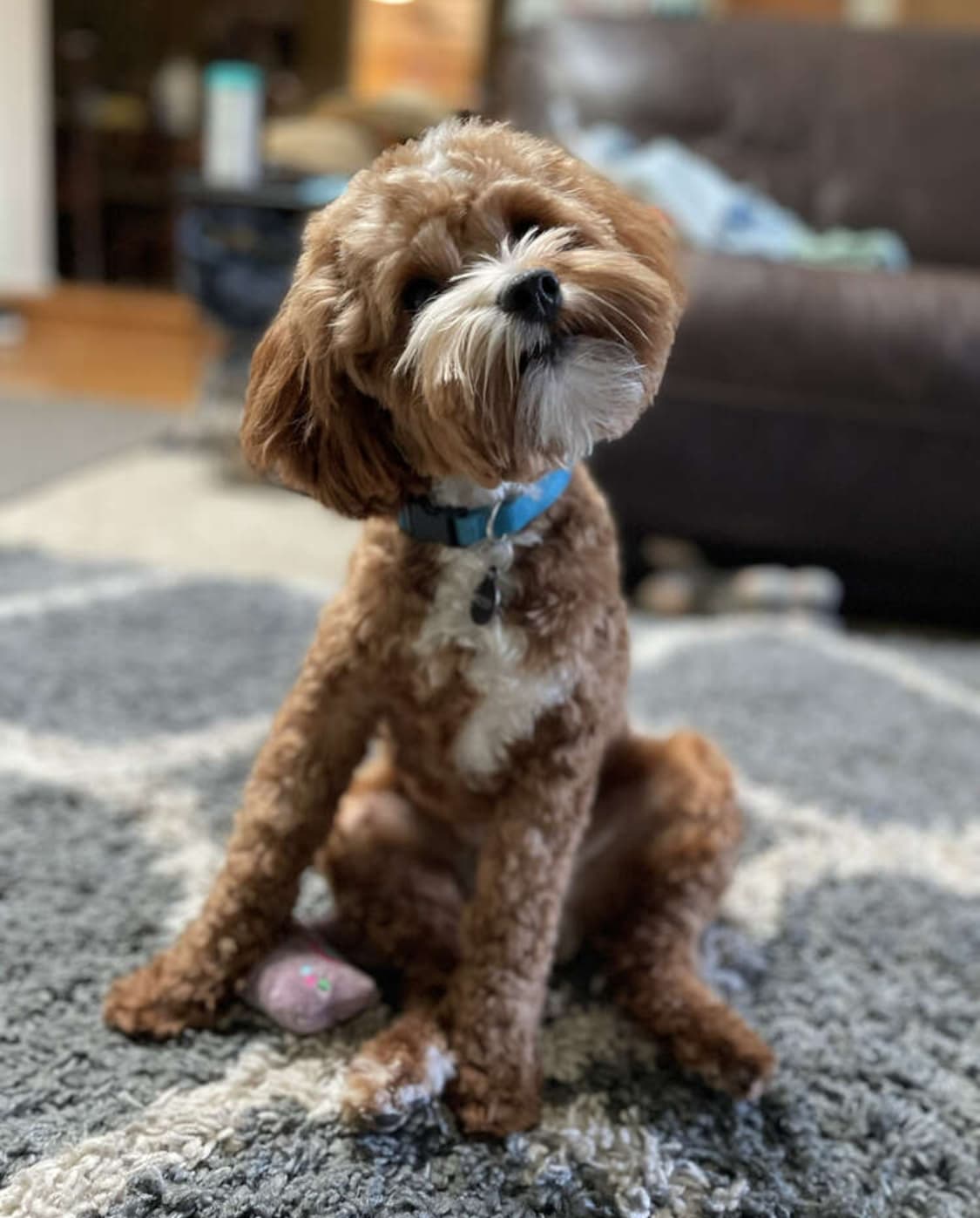 Watson