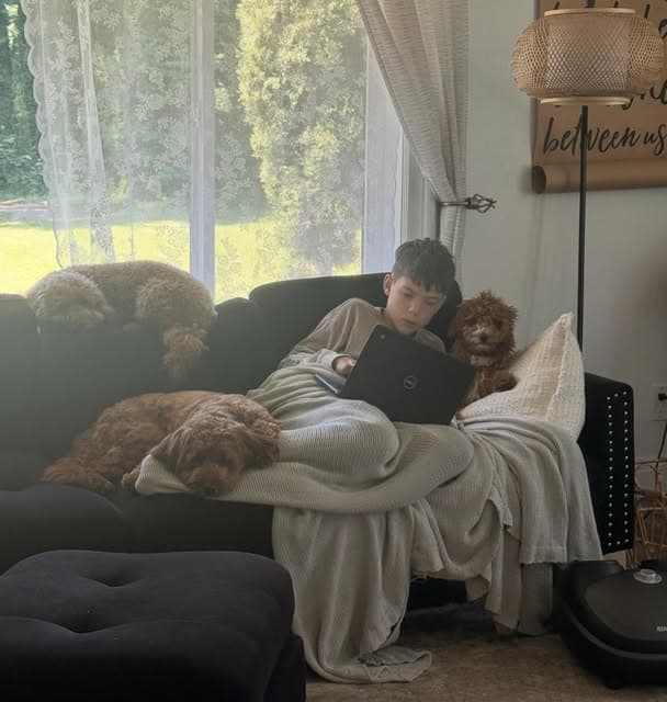 Three Goldendoodles relaxing on the couch with our son