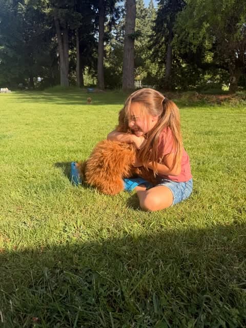 Our daughter hugging a Goldendoodle puppy on the lawn